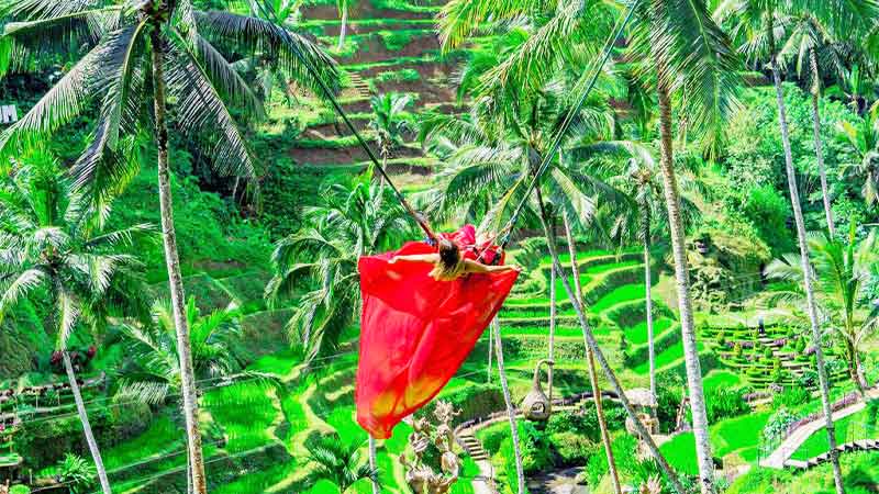 Ubud Jungle Swing & Rice Terrace