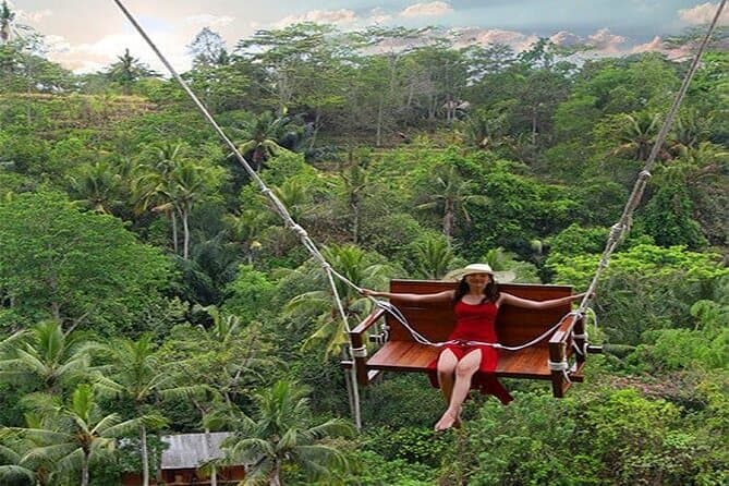 Ubud Jungle Swing & Rice Terrace - View 4