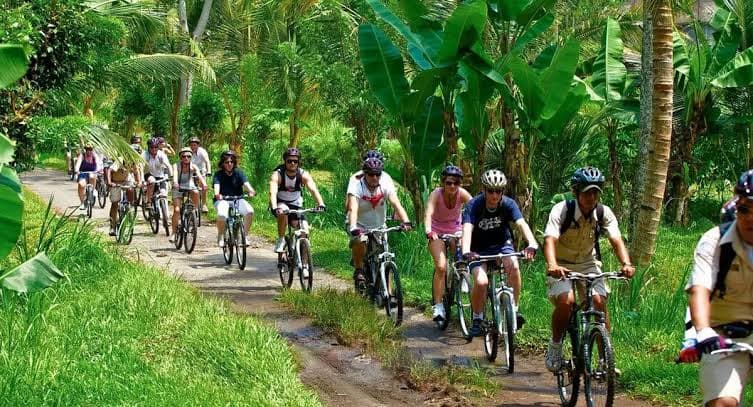 Kintamani Downhill Cycling - View 4