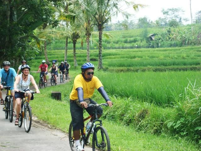 Village Bike Tour - View 4