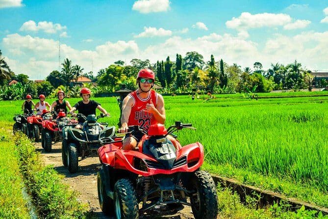 rice-fields-track-atv