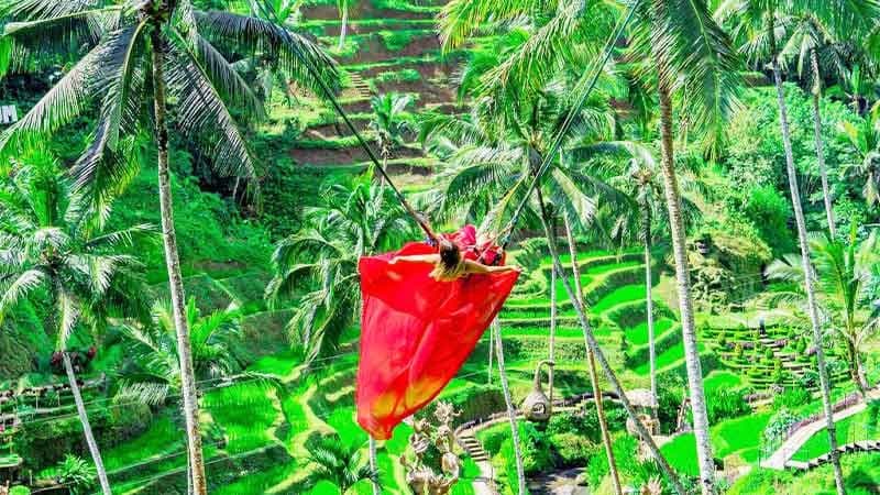 jungle swing experience in Ubud