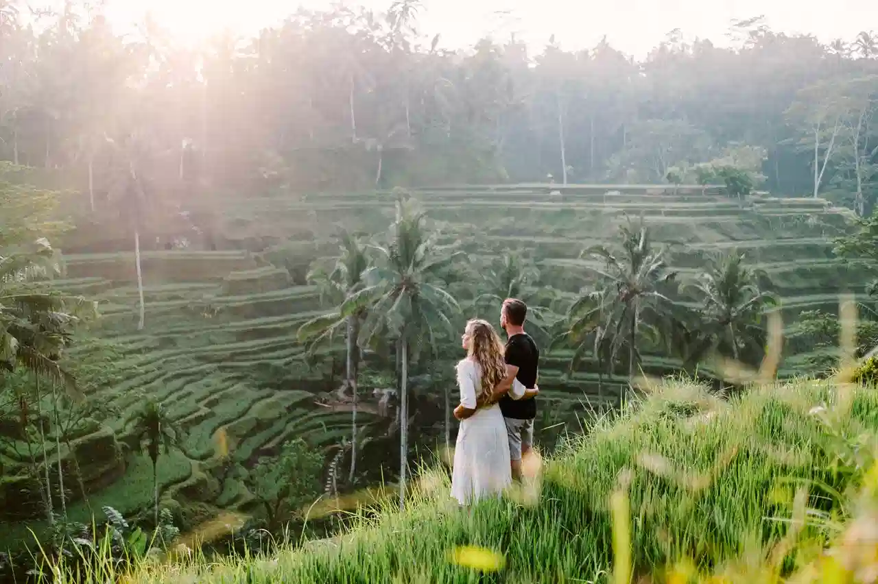 tegalalang rice terrace in Ubud