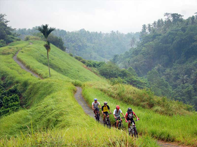 kintamani downhill cycling